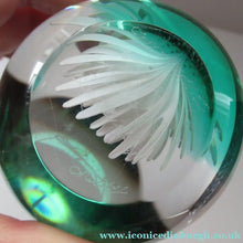 Load image into Gallery viewer, Scottish Paperweight Caithness Glass White Aster 1999
