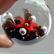 Load image into Gallery viewer, SCOTTISH PAPERWEIGHT: Vintage Caithness Paperweight: MOONFLOWER by Colin Terris. Red Version 

