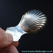 Load image into Gallery viewer, 1990s Sterling Silver. Shell Bowl Tea Caddy Spoon. Hallmarked Birmingham 1991. Boxed - Scottish Silver Jewellery
