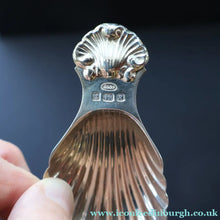 Load image into Gallery viewer, 1990s Sterling Silver. Shell Bowl Tea Caddy Spoon. Hallmarked Birmingham 1991. Boxed - Scottish Silver Jewellery
