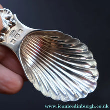 Load image into Gallery viewer, 1990s Sterling Silver. Shell Bowl Tea Caddy Spoon. Hallmarked Birmingham 1991. Boxed - Scottish Silver Jewellery
