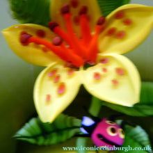 Load image into Gallery viewer, SCOTTISH Large 1991 Limited Edition Caithness LILIES and LADYBIRD Paperweight by William Manson. Signed to the base
