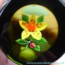 Load image into Gallery viewer, SCOTTISH Large 1991 Limited Edition Caithness LILIES and LADYBIRD Paperweight by William Manson. Signed to the base
