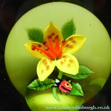 Load image into Gallery viewer, SCOTTISH PAPERWEIGHT. Large 1991 Limited Edition Caithness LILIES and LADYBIRD Paperweight by William Manson
