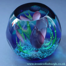 Load image into Gallery viewer, Stunning 1991 Limited Edition CAITHNESS Paperweight by COLIN TERRIS Entitled "Spring Melody"
