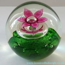 Load image into Gallery viewer, LIMITED EDITION Scottish Caithness Glass Paperweight: HYDROPONIC by Colin Terris; 1992
