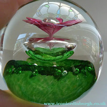 Load image into Gallery viewer, LIMITED EDITION Scottish Caithness Glass Paperweight: HYDROPONIC by Colin Terris; 1992
