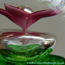 Load image into Gallery viewer, LIMITED EDITION Scottish Caithness Glass Paperweight: HYDROPONIC by Colin Terris; 1992
