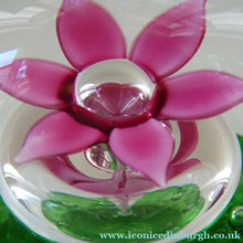 Load image into Gallery viewer, LIMITED EDITION Scottish Caithness Glass Paperweight: HYDROPONIC by Colin Terris; 1992
