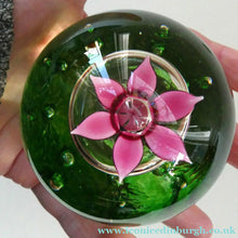 Load image into Gallery viewer, LIMITED EDITION Scottish Caithness Glass Paperweight: HYDROPONIC by Colin Terris; 1992
