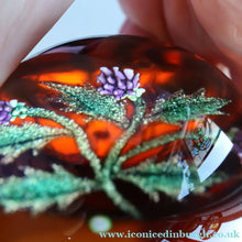 Load image into Gallery viewer, Vintage LIMITED EDITION 1992 Caithness Glass Paperweight. Entitled "Thistles" by William Manson. With WM Cane
