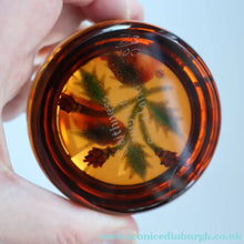 Load image into Gallery viewer, Vintage LIMITED EDITION 1992 Caithness Glass Paperweight. Entitled "Thistles" by William Manson. With WM Cane
