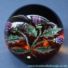 Load image into Gallery viewer, Vintage LIMITED EDITION 1992 Caithness Glass Paperweight. Entitled "Thistles" by William Manson. With WM Cane
