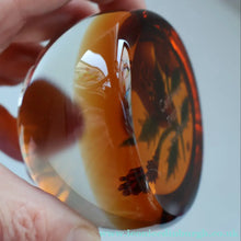 Load image into Gallery viewer, Vintage LIMITED EDITION 1992 Caithness Glass Paperweight. Entitled "Thistles" by William Manson. With WM Cane
