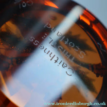 Load image into Gallery viewer, Vintage LIMITED EDITION 1992 Caithness Glass Paperweight. Entitled "Thistles" by William Manson. With WM Cane
