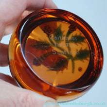 Load image into Gallery viewer, Vintage LIMITED EDITION 1992 Caithness Glass Paperweight. Entitled "Thistles" by William Manson. With WM Cane
