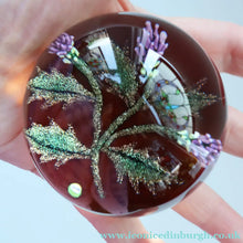 Load image into Gallery viewer, Vintage LIMITED EDITION 1992 Caithness Glass Paperweight. Entitled "Thistles" by William Manson. With WM Cane
