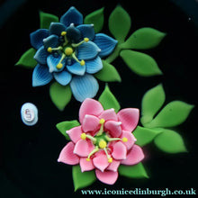Load image into Gallery viewer, SCOTTISH Limited Edition 1992 Caithness Lampwork Paperweight ROSE GARLAND  by William Manson. Signed to the base 
