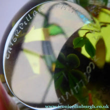 Load image into Gallery viewer, 1993 Limited Edition Caithness CATERPILLAR Paperweight by William Manson
