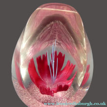 Load image into Gallery viewer, SCOTTISH Caithness Glass Paperweight: FANTASY ORCHID by Alastair MacIntosh; 1993
