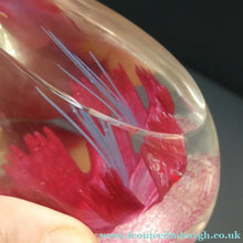 Load image into Gallery viewer, SCOTTISH Caithness Glass Paperweight: FANTASY ORCHID by Alastair MacIntosh; 1993
