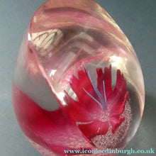 Load image into Gallery viewer, SCOTTISH Caithness Glass Paperweight: FANTASY ORCHID by Alastair MacIntosh; 1993
