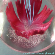 Load image into Gallery viewer, SCOTTISH Caithness Glass Paperweight: FANTASY ORCHID by Alastair MacIntosh; 1993
