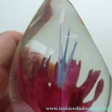 Load image into Gallery viewer, SCOTTISH Caithness Glass Paperweight: FANTASY ORCHID by Alastair MacIntosh; 1993
