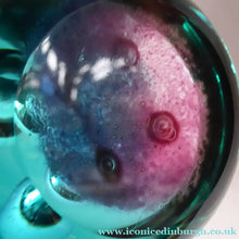 Load image into Gallery viewer, Caithness Glass LIMITED EDITION Paperweight: Eurythmic by Margot Thomson; 1993
