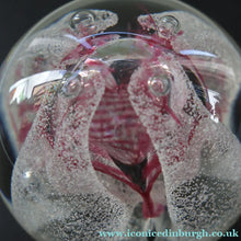 Load image into Gallery viewer, SCOTTISH PAPERWEIGHT. 1993 CAITHNESS GLASS Paperweight entitled CONGRATULATIONS by Margot Thomson
