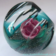 Load image into Gallery viewer, Rare 1994 Caithness Paperweight Blossom by Colin Terris
