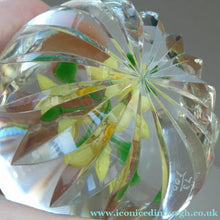 Load image into Gallery viewer, COLIN TERRIS 1994 Limited Edition Caithness Glass Paperweight. Narcissus Daffodil Design
