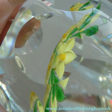 Load image into Gallery viewer, COLIN TERRIS 1994 Limited Edition Caithness Glass Paperweight. Narcissus Daffodil Design
