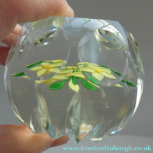 Load image into Gallery viewer, COLIN TERRIS 1994 Limited Edition Caithness Glass Paperweight. Narcissus Daffodil Design
