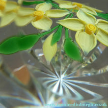 Load image into Gallery viewer, COLIN TERRIS 1994 Limited Edition Caithness Glass Paperweight. Narcissus Daffodil Design
