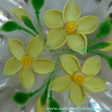 Load image into Gallery viewer, COLIN TERRIS 1994 Limited Edition Caithness Glass Paperweight. Narcissus Daffodil Design

