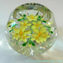 Load image into Gallery viewer, COLIN TERRIS 1994 Limited Edition Caithness Glass Paperweight. Narcissus Daffodil Design
