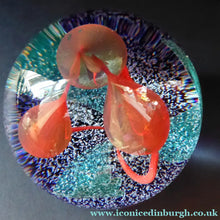 Load image into Gallery viewer, Caithness Glass LIMITED EDITION Paperweight: Accord by Margot Thomson; 1994
