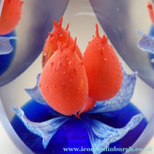 Load image into Gallery viewer, 1997 Caithness Paperweight by Neil Allan. Los Tres Amigos
