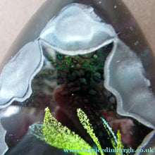 Load image into Gallery viewer, Limited Edition 100. Emerald Grotto Caithness Glass Paperweight by Colin Terris
