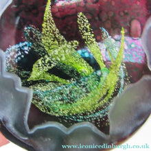 Load image into Gallery viewer, Limited Edition 100. Emerald Grotto Caithness Glass Paperweight by Colin Terris
