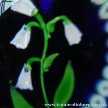 Load image into Gallery viewer, Vintage Scottish Paperweight . Lily of the Valley (MAY) White Lampwork Flower on Dark Blue Base
