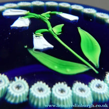Load image into Gallery viewer, Vintage Scottish Paperweight . Lily of the Valley (MAY) White Lampwork Flower on Dark Blue Base
