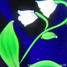 Load image into Gallery viewer, Scottish Paperweight Lily of the Valley May Caithness Glass
