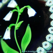 Load image into Gallery viewer, Vintage Scottish Paperweight . Lily of the Valley (MAY) White Lampwork Flower on Dark Blue Base
