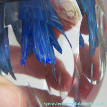 Load image into Gallery viewer, 1998 Philip Chaplain Egg Shape Paperweight Azurina limited Edition 150

