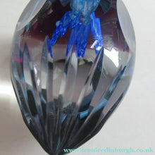 Load image into Gallery viewer, 1998 Philip Chaplain Egg Shape Paperweight Azurina limited Edition 150

