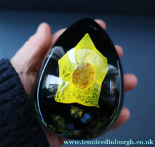 Load image into Gallery viewer, SCOTTISH Caithness Glass Egg Shape Paperweight: DAFFODIL by Colin Terris; 1999
