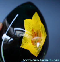 Load image into Gallery viewer, SCOTTISH Caithness Glass Egg Shape Paperweight: DAFFODIL by Colin Terris; 1999
