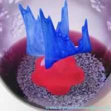 Load image into Gallery viewer, Rare 1999 Caithness Paperweight One Fine Day. Small Limited Edition
